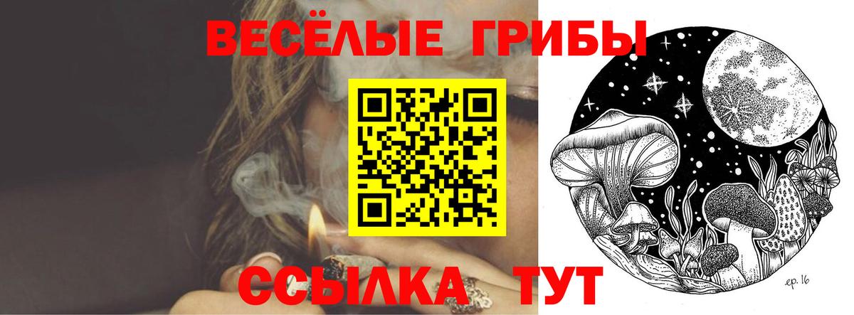 Галлюциногенные грибы мицелий Ижевск